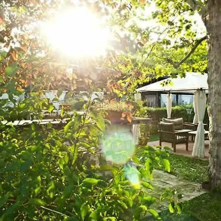 Tenuta Il Ciocco * 麦比欧